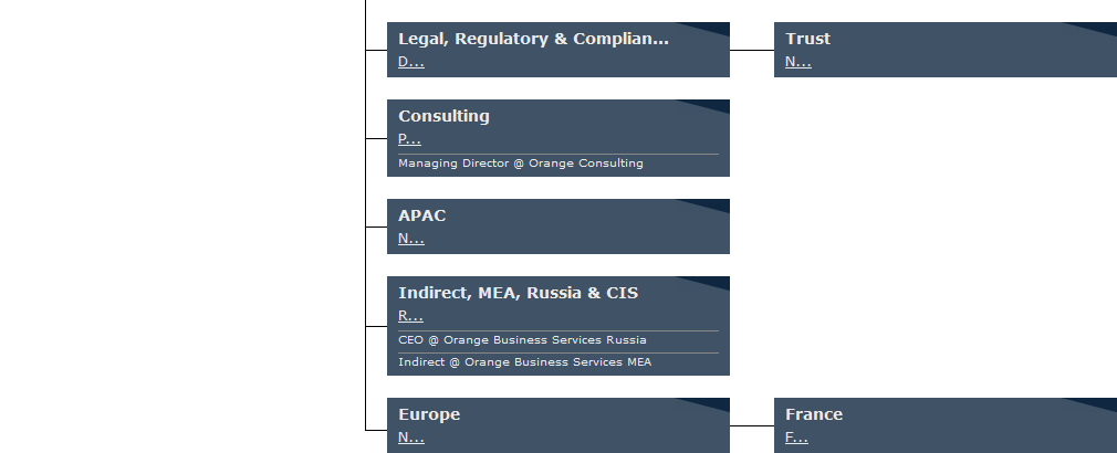 Organigramme Orange Business Services 2